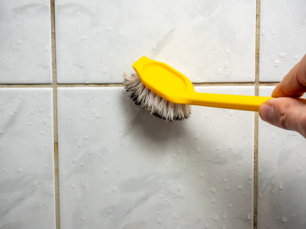 Best Office Mold Removal Services  in Steelton, PA