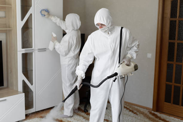 Attic Mold Removal in Steelton, PA