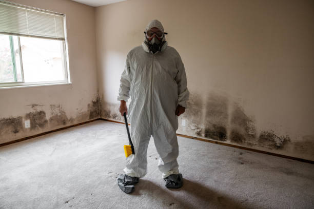 Best Toxic Mold Removal  in Steelton, PA